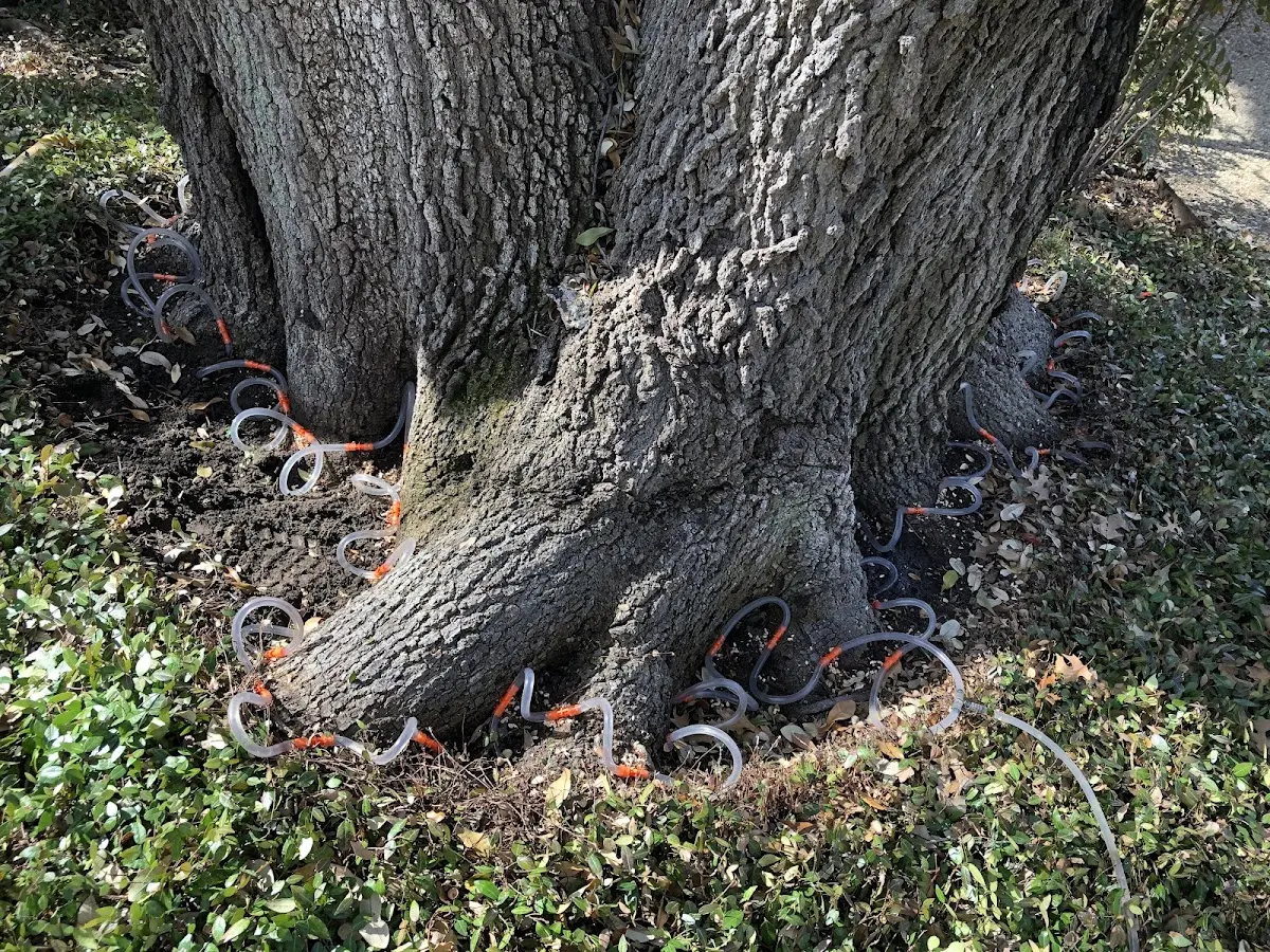 Detailed Shrub and Hedge Trimming job site in Oakford