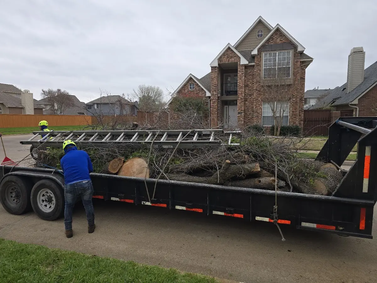 Expert Tree Removal with proper safety equipment in Oakford